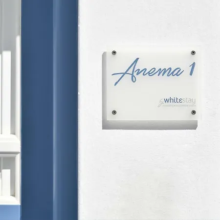 Anema1 Studio In The Heart Of